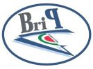 logo-bri-p copia